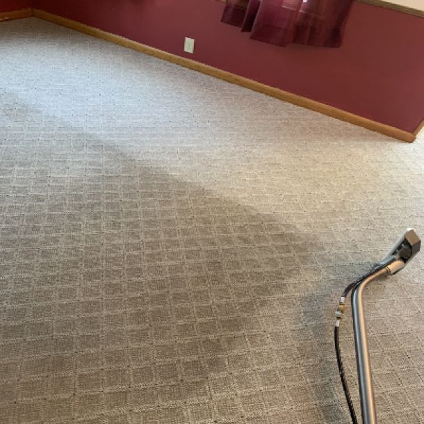 Carpet Cleaning Results 15