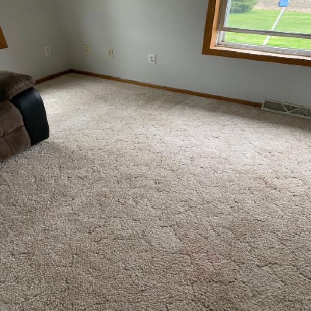 Carpet Cleaning Results 7