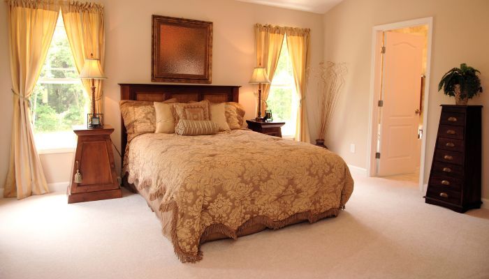 What is the average cost of Carpet Cleaning in Foley, MN?