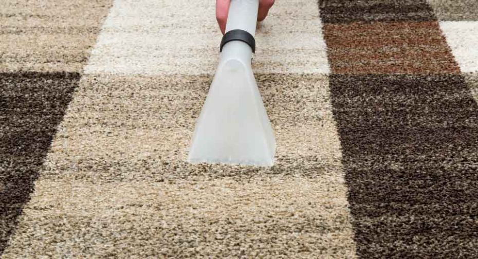 winthrop professional area rug cleaning