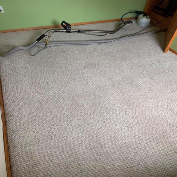 Carpet Cleaning Results 4