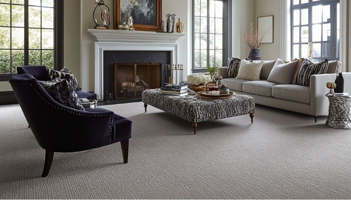 What is the Average Cost of Carpet Cleaning in Saint Cloud, MN?