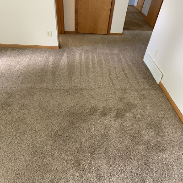 Carpet Cleaning Results 11