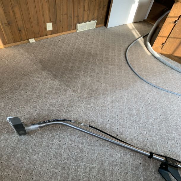 Carpet Cleaning Results 14