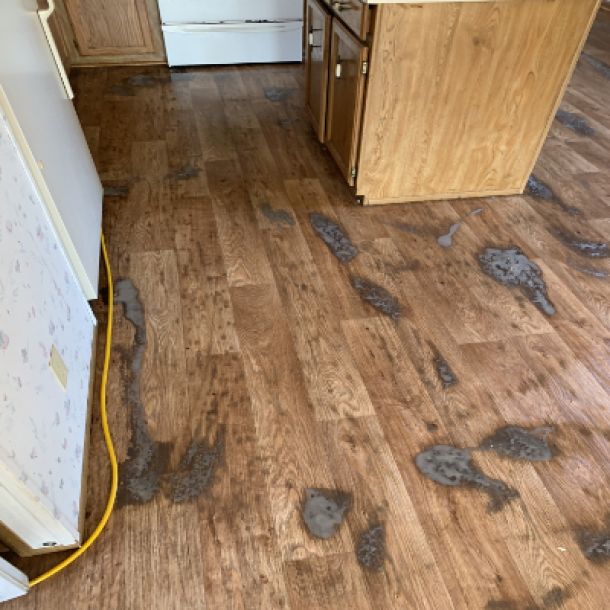 Wood Floor Cleaning Results 8
