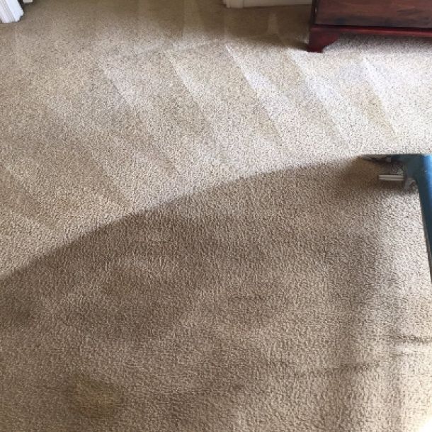 Carpet Cleaning Results 19