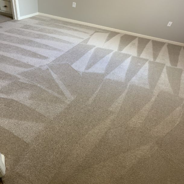 Carpet Cleaning Results 13