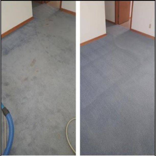 Carpet Cleaning Results 23