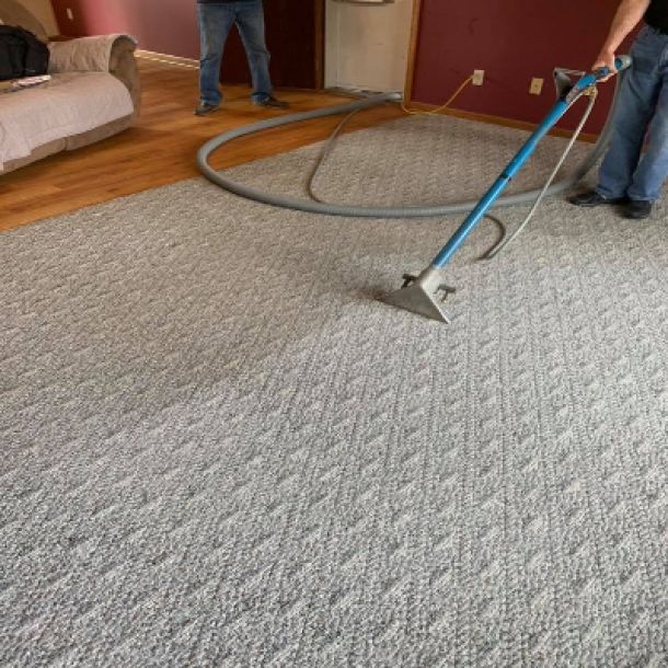 Carpet Cleaning Results 5