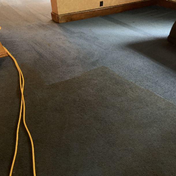 Carpet Cleaning Results 10