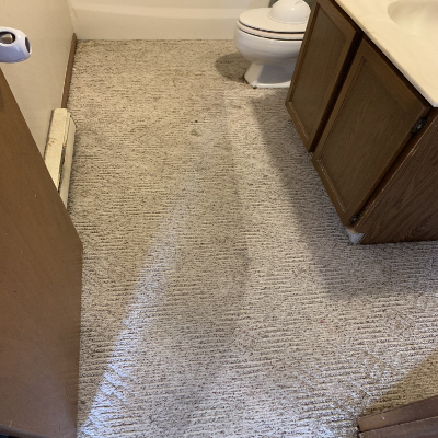 Carpet Cleaning Results 17