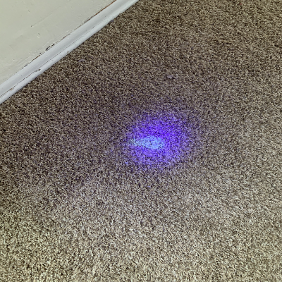 Carpet Cleaning Results 18