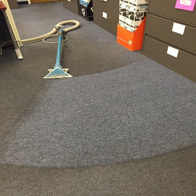 Carpet Cleaning Results 22