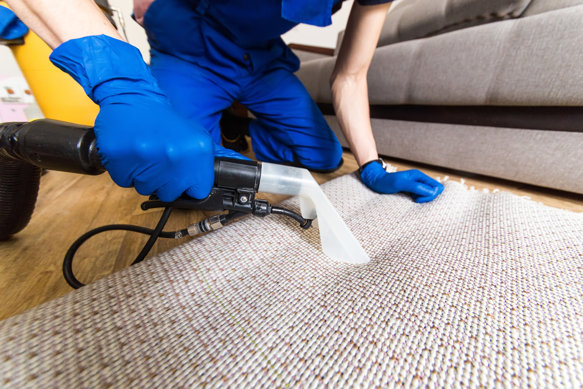 Unexpected benefits offered by professional area rug cleaning