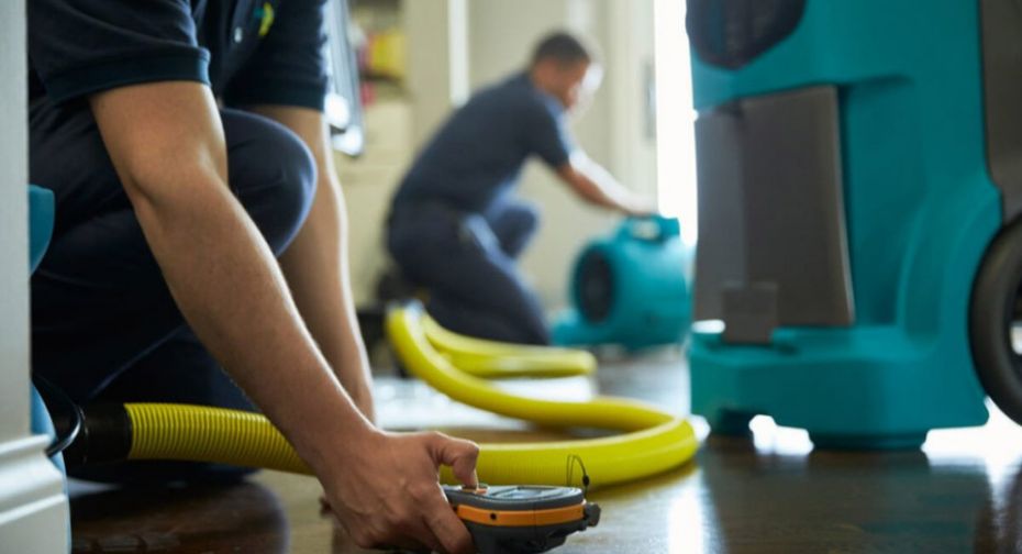 Professional Water Extraction Service