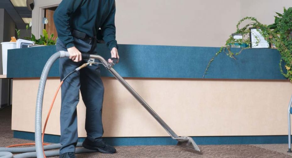 albany professional carpet cleaning